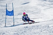 雪橇锦标赛：俄罗斯队稳居榜首，刷新纪录在望！，世界雪橇锦标赛