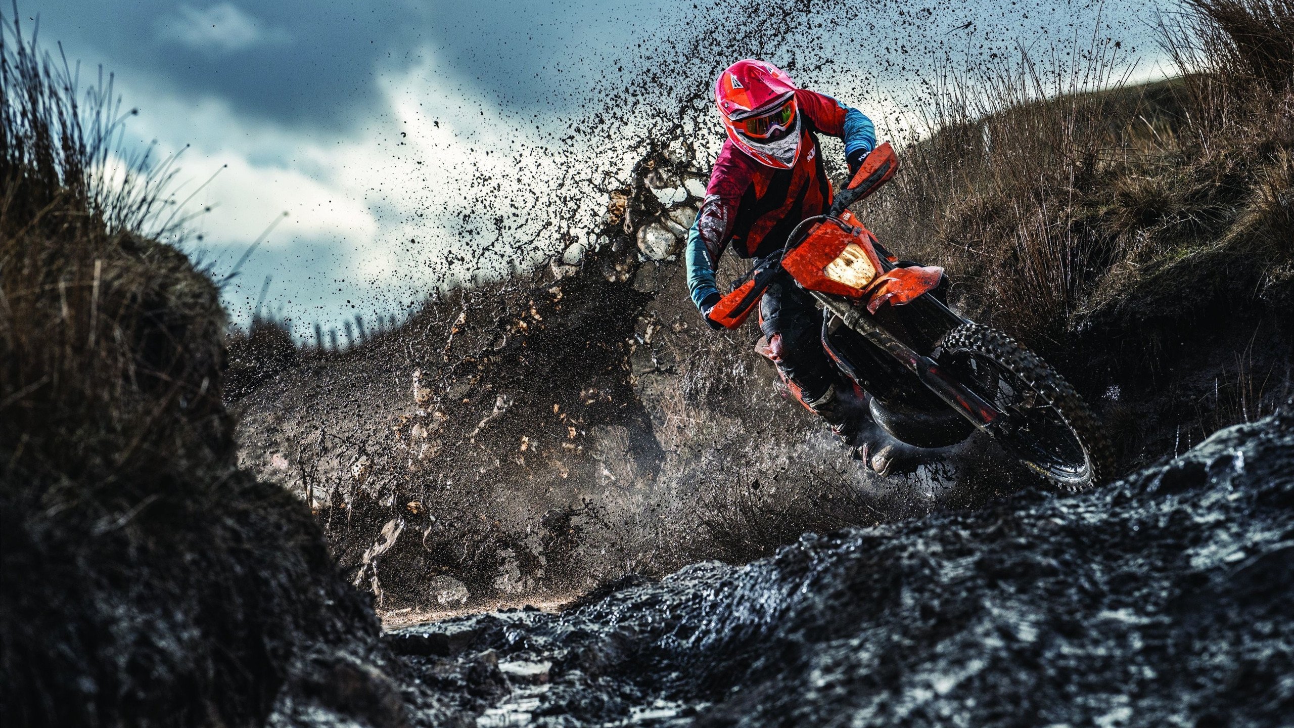 “帕布罗·马特拉的出色领导力，助阿根廷美洲狮队巩固全球地位”